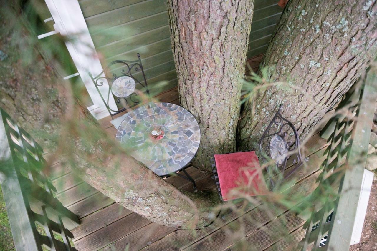 Sodyba Namelis Medyje Anyksciuose Anykščiai Exteriér fotografie